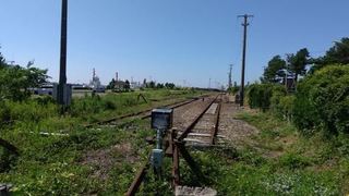 DSC_0249.jpg