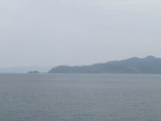 IMG_0354.jpg