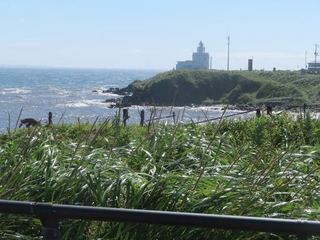 IMG_0526.jpg