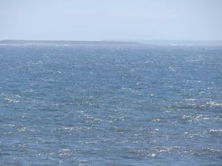 IMG_0529.jpg