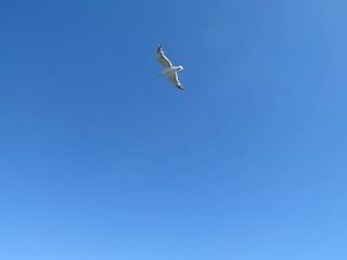 IMG_0539.jpg