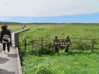 IMG_0554.jpg