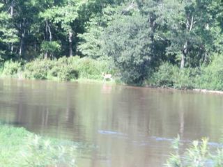 IMG_0630.jpg