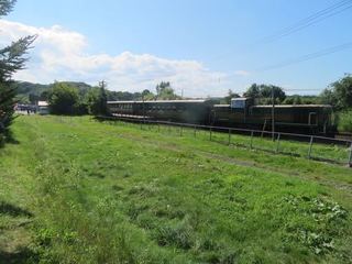 IMG_0637.jpg