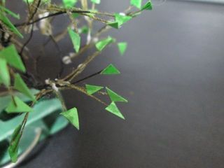 IMG_1043.jpg