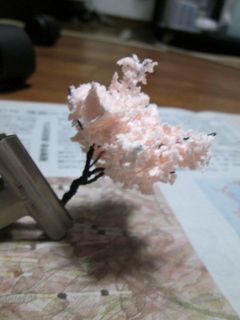 IMG_1075.jpg