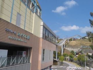 IMG_1117.jpg