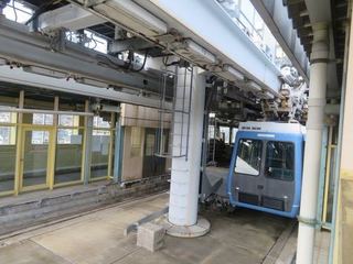 IMG_1121.jpg