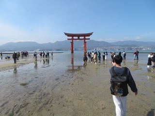 IMG_1167.jpg