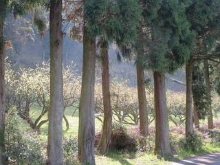 IMG_1323.jpg