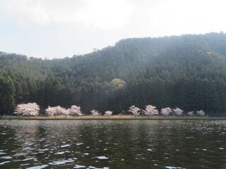 IMG_1352.jpg