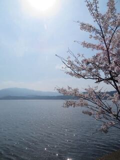 IMG_1359.jpg