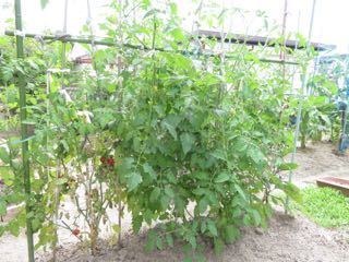 IMG_1448.jpg