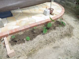 IMG_1450.jpg