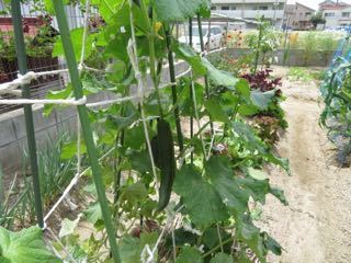 IMG_1451.jpg