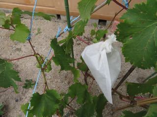 IMG_1459.jpg