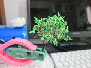 IMG_1686.jpg