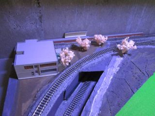 IMG_1695.jpg