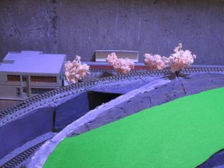 IMG_1696.jpg