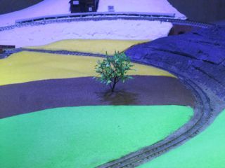 IMG_1697.jpg