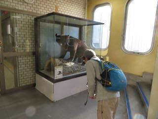 IMG_1887.jpg