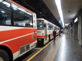 IMG_2064.jpg