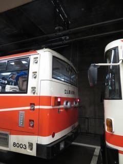 IMG_2066.jpg