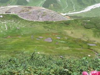 IMG_2074 .jpg