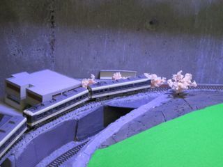 IMG_2274.jpg