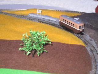 IMG_2298.jpg