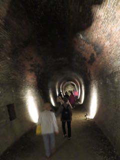 IMG_2508.jpg