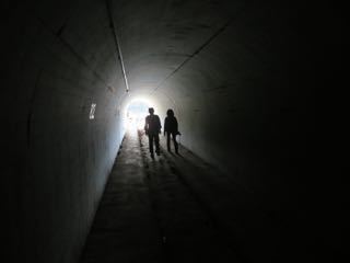 IMG_2537.jpg