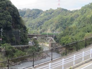 IMG_2539.jpg