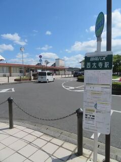 IMG_2667.jpeg