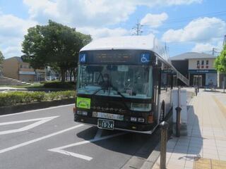 IMG_2670.jpeg