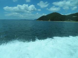 IMG_2694.jpeg