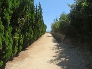 IMG_2720.jpeg