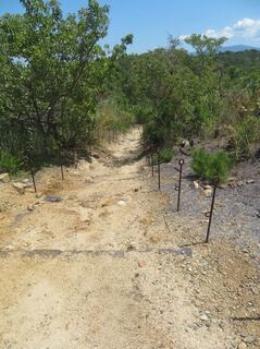 IMG_2771.jpeg