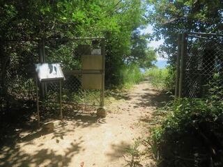 IMG_2782.jpeg