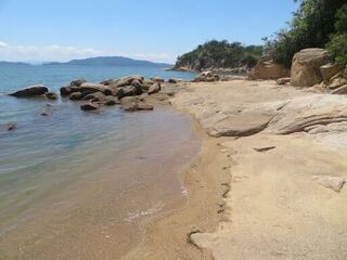 IMG_2809.jpeg