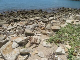 IMG_2812.jpeg