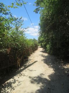 IMG_2819.jpeg
