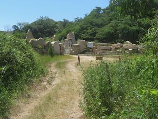 IMG_2821.jpeg