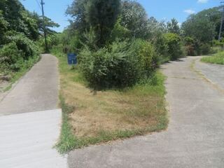 IMG_2822.jpeg