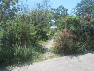 IMG_2823.jpeg