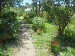 IMG_2824.jpeg