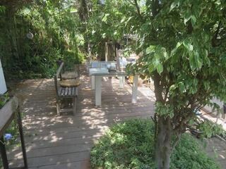 IMG_2828.jpeg