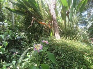 IMG_2830.jpeg
