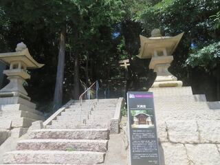 IMG_2843.jpeg