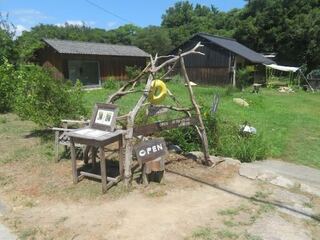 IMG_2849.jpeg